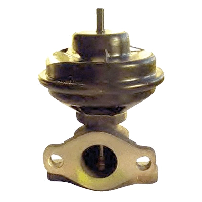 EGR Valve (83.786)