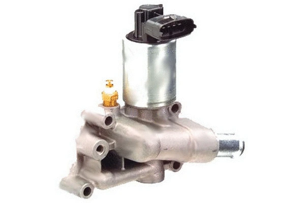 EGR Valve (83.643)