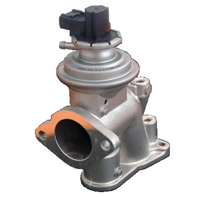 EGR Valve (83.812)
