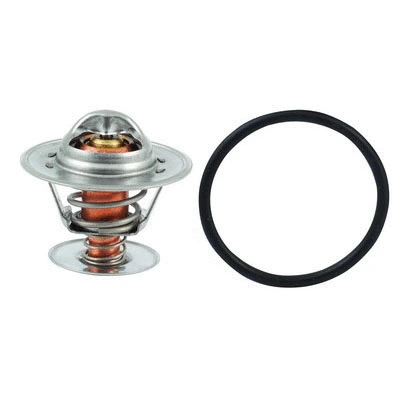 Thermostat, coolant (94.308)
