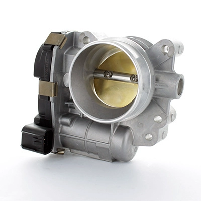 Throttle Body (88.172)