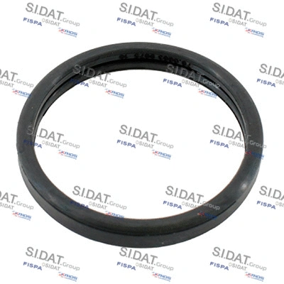 Seal, thermostat (94.01675)