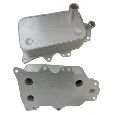 Oil Cooler, engine oil (590205)