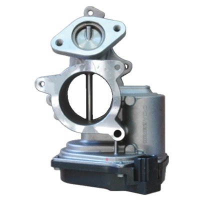 EGR Valve (83.811)