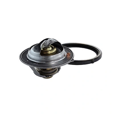 Thermostat, coolant (94.788)