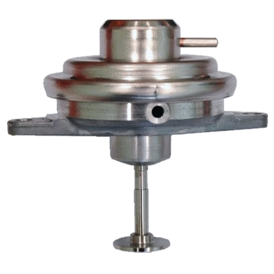 EGR Valve (83.733AS)