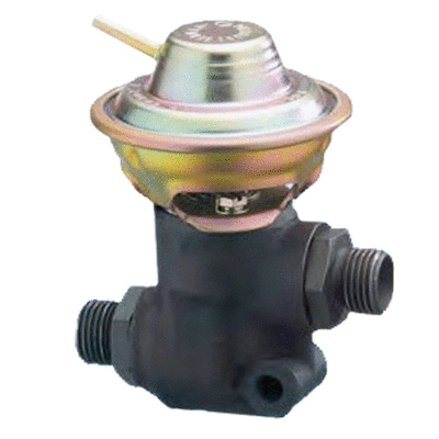 EGR Valve (83.726)