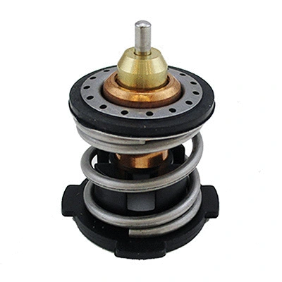 Thermostat, coolant (94.900)