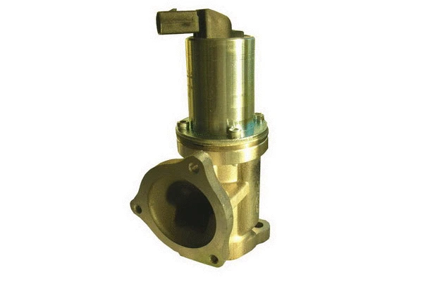 EGR Valve (83.794)