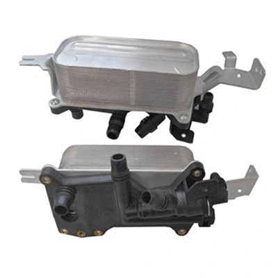 Oil Cooler, engine oil (590180)