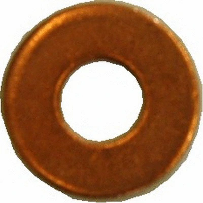 Seal Ring, nozzle holder (81.056)