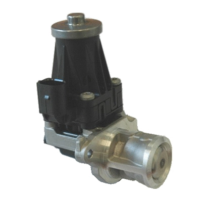 EGR Valve (83.827)