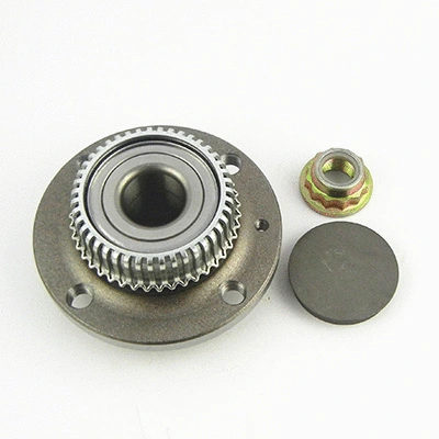 Wheel Bearing Kit (460523)