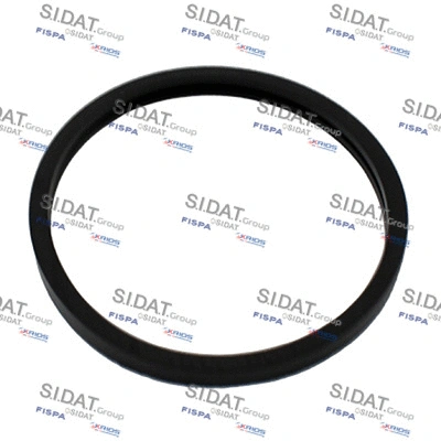 Seal, thermostat (94.01660)