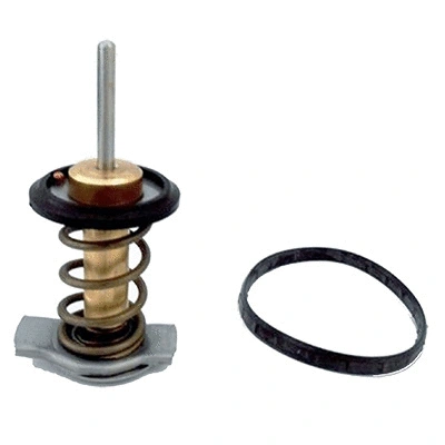 Thermostat, coolant (94.840)