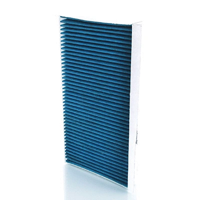 Filter, cabin air (BL666-2)
