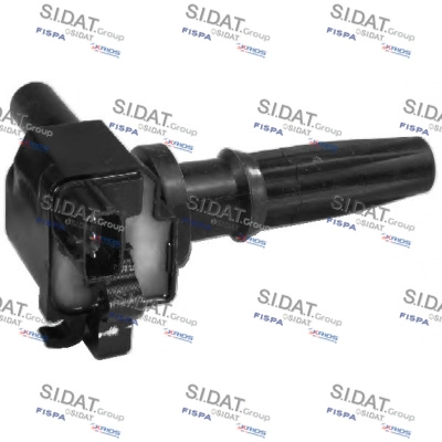 Ignition Coil (85.30001A2)