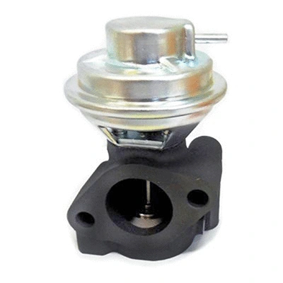 EGR Valve (83.1065)