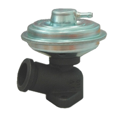 EGR Valve (83.832)