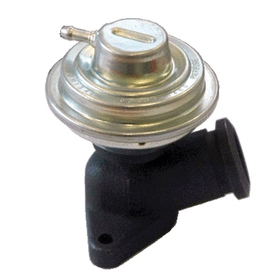 EGR Valve (83.834)