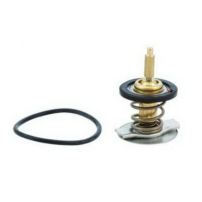Thermostat, coolant (94.739)