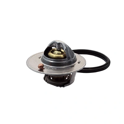 Thermostat, coolant (94.791)