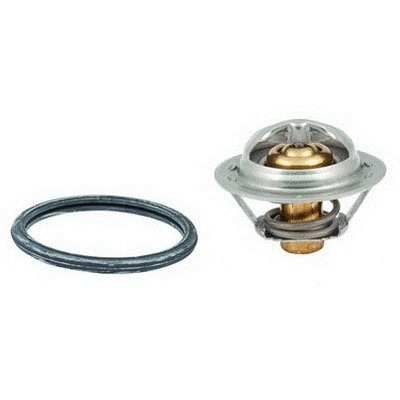 Thermostat, coolant (94.633)