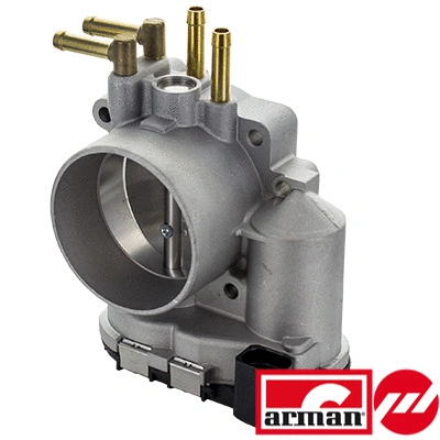 Throttle Body (88.273AS)