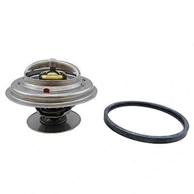 Thermostat, coolant (94.253)