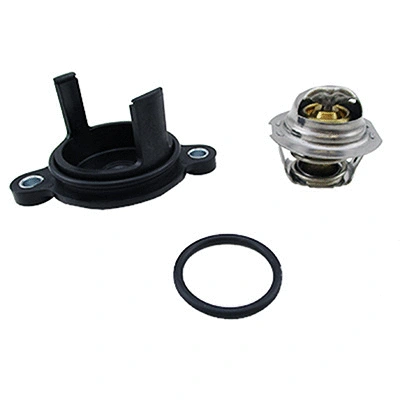 Thermostat, coolant (94.919)