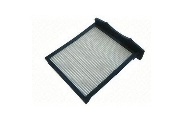 Filter, cabin air (234)