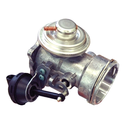 EGR Valve (83.839)