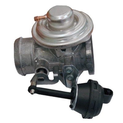 EGR Valve (83.722AS)