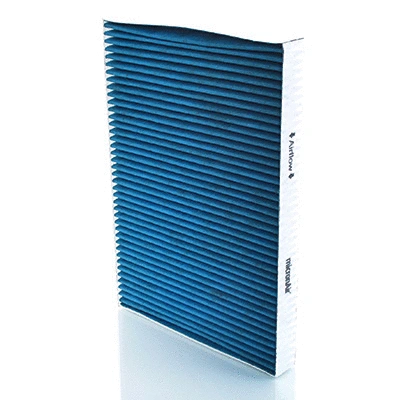Filter, cabin air (BL606)