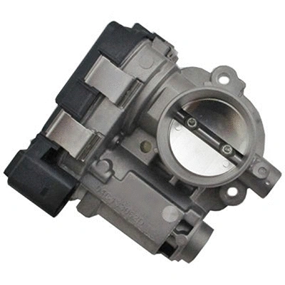Throttle Body (88.406)