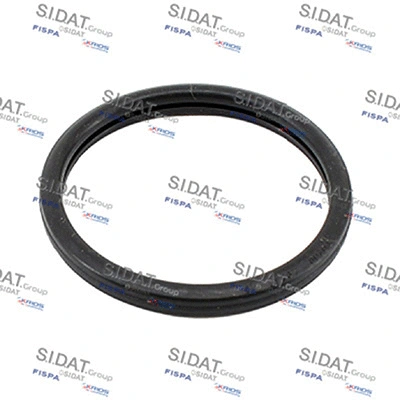 Seal, thermostat (94.016105)