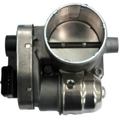 Throttle Body (88.091)