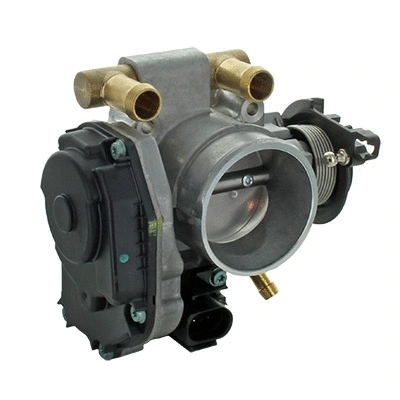 Throttle Body (88.176AS)