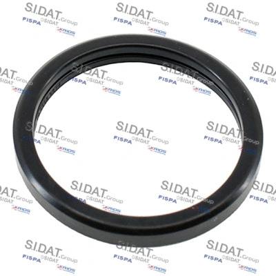 Seal, thermostat (94.01658)