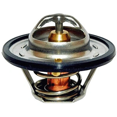 Thermostat, coolant (94.095)