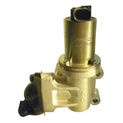EGR Valve (83.793)
