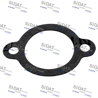 Seal, thermostat (94.016106)