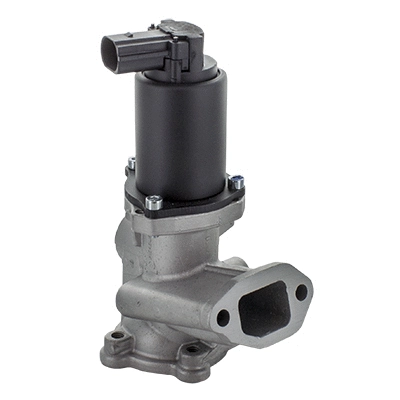 EGR Valve (83.668R)