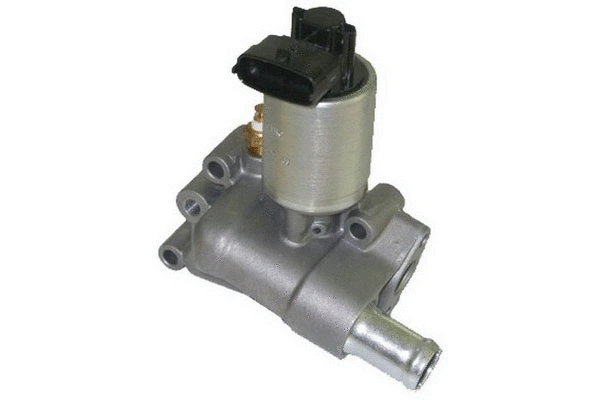 EGR Valve (83.609)