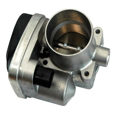 Throttle Body (88.113)