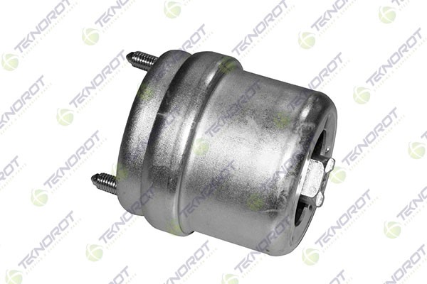 Mounting, engine (ST 113)