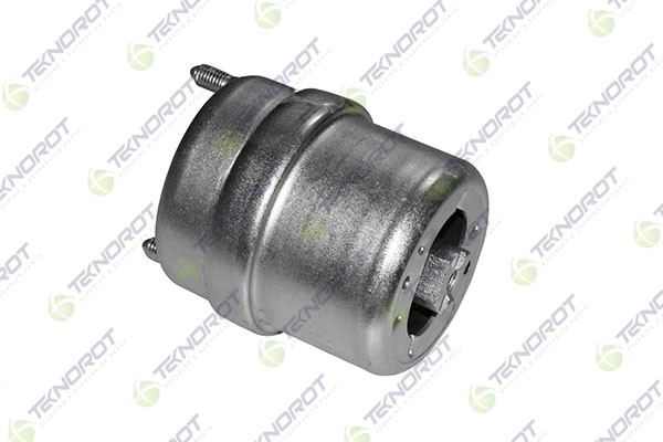 Mounting, engine (ST 112)