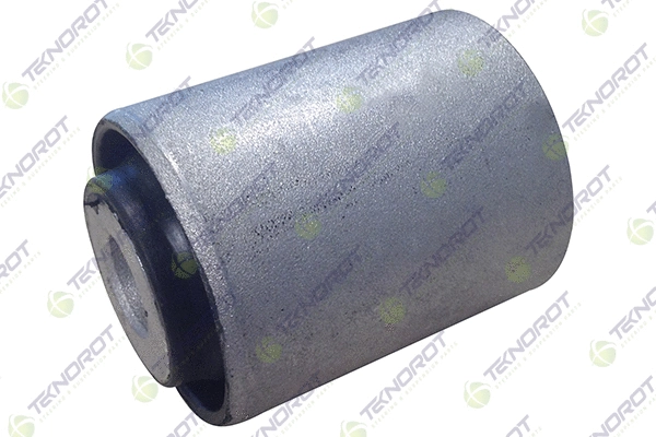 Mounting, control/trailing arm (SB 437)