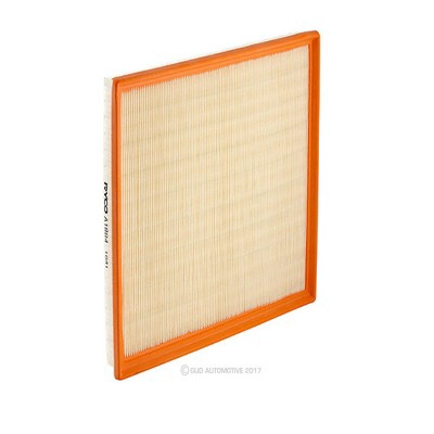 Air Filter (RY-A1884)