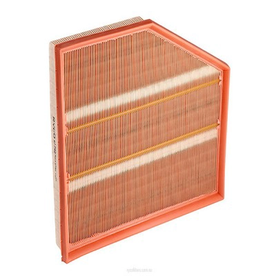 Air Filter (RY-A1742)
